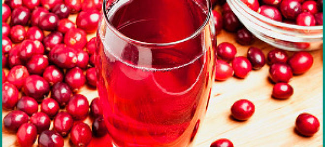 Как женщинам вылечить цистит без антибиотиков