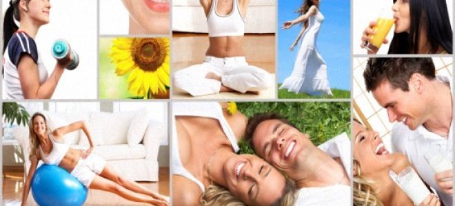 Мочевыделительная система: строение, функции у мужчин и женщин