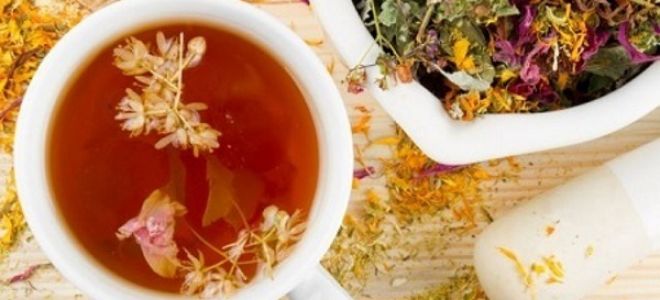 Острый цистит: причины, симптомы у женщин, лечение обострения