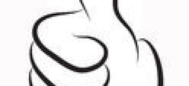 Лекарство от почек: таблетки, препараты на травах, спазмолитики