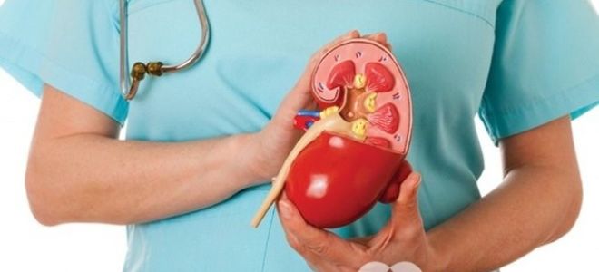 Первичный и вторичный альдостеронизм: симптомы и лечение