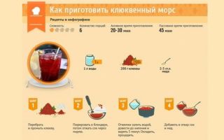 Клюква при цистите: как принимать, рецепты морса, сока, свежие ягоды