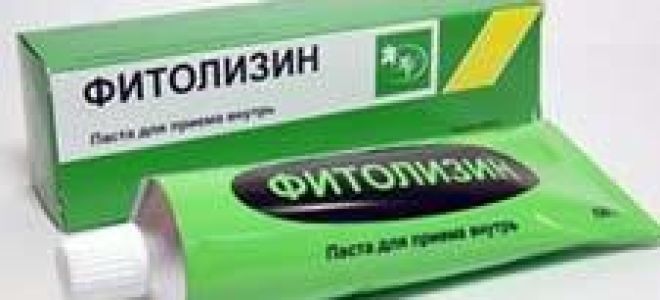Фитолизин: инструкция по применению при беременности и лактации