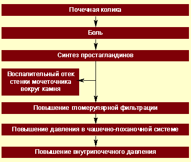 Схема обработки почек