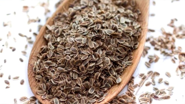Семена укропа при цистите: как заваривать отвар и лечить заболевание