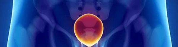 Утолщение стенок мочевого пузыря: что это такое, норма, причины, лечение