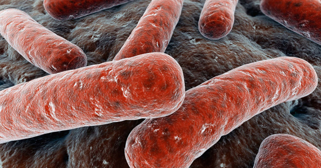 Туберкулез мочеполовой системы: симтпомы, диагностика, лечение