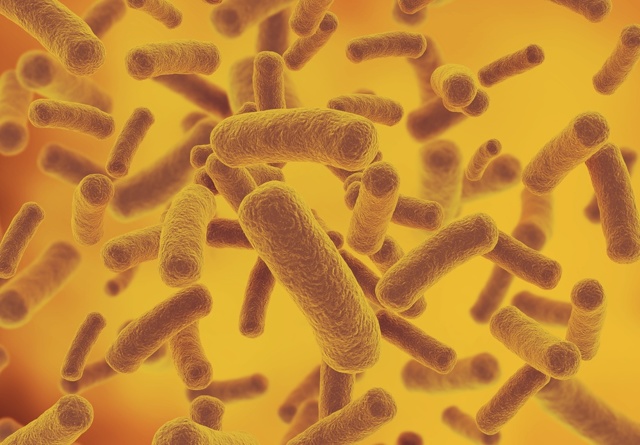 Что такое бактериурия: причины ее появления, симптомы, лечение