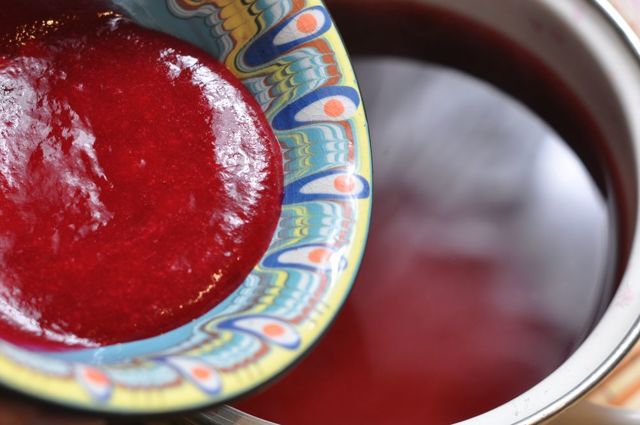 Клюква при цистите: как принимать, рецепты морса, сока, свежие ягоды