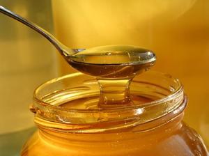 Клюква с медом для почек: полезные свойства и противопоказания