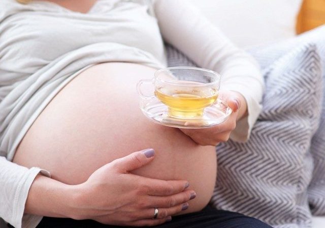 Почечный чай при беременности: инструкция к применению и отзывы