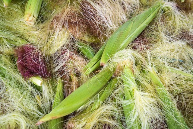 Кукурузные рыльца: лечебные свойства и применении в урологии