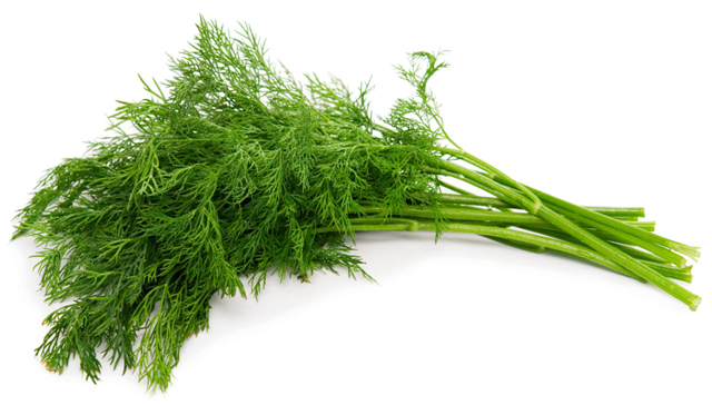 Мочегонные травы: лечение от отеков, почек и цистита в домашних условиях