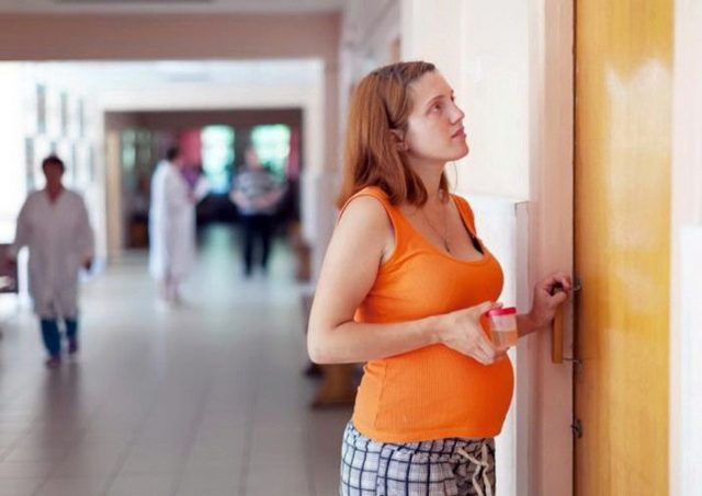 Бак посев мочи при беременности: что это, как сдавать правильно, расшифровка