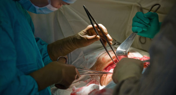 Как стать донором почки: стоимость органа и ход процедуры