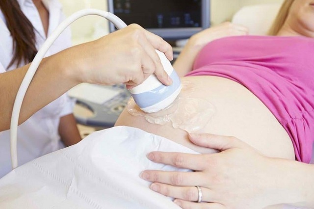 УЗИ почек и органов брюшной полости при беременности: подготовка к исследованию